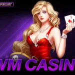 ไม่อยากหมดตัว ในการลงทุน WM Casino ควรหลีกเลี่ยงพฤติกรรมนี้
